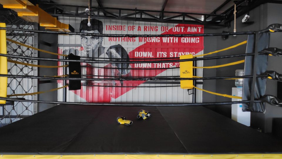 muhammed ali mural painting