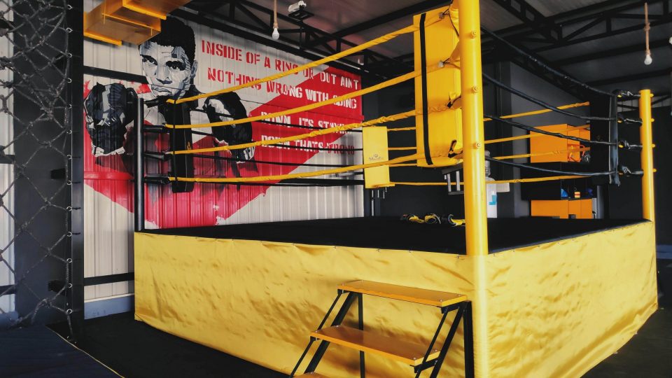 muhammed ali mural painting