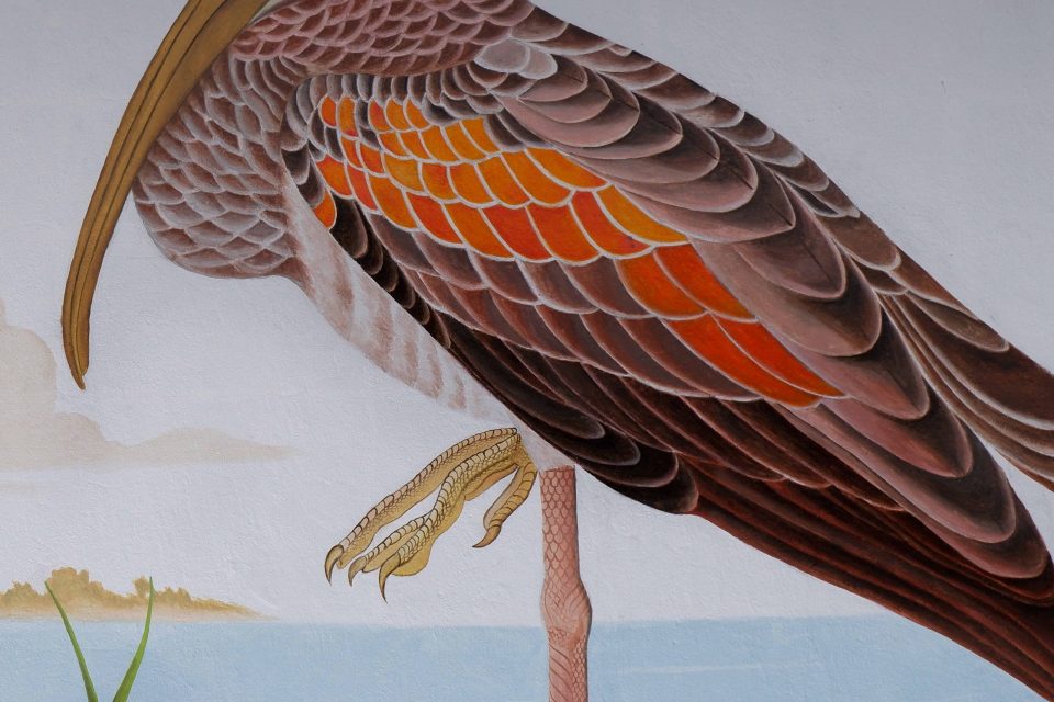 bird mural art in coco club