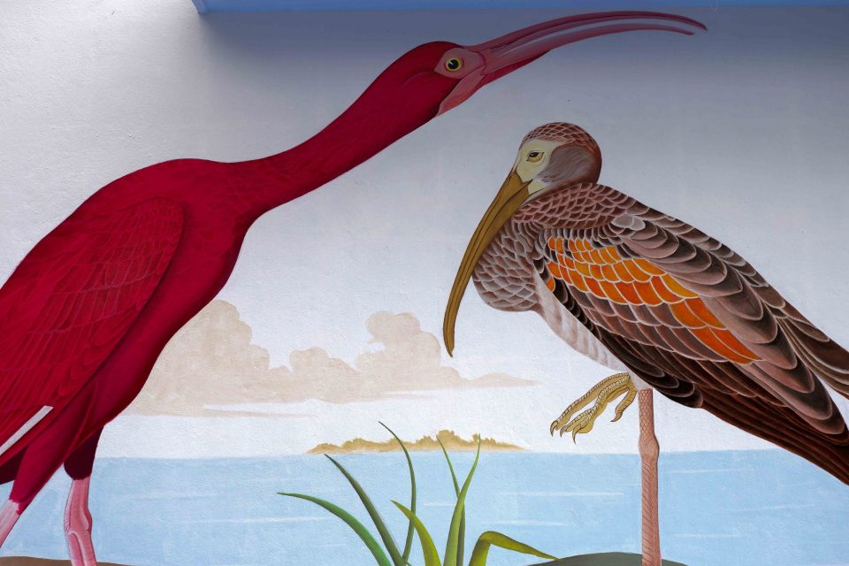 bird mural art in coco club
